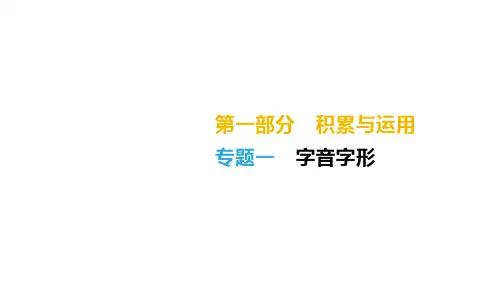 2019中考语文专题复习(湖南专用)考点小练专题01 字音字形