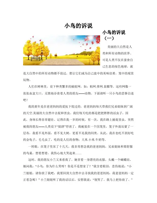 小鸟的诉说(共10篇)
