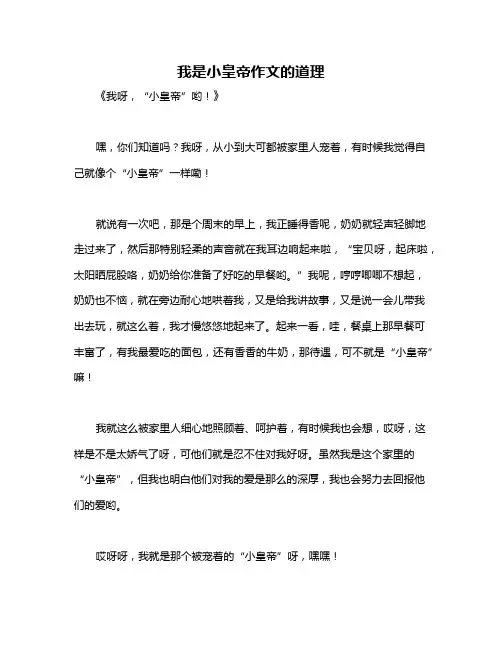 我是小皇帝作文的道理