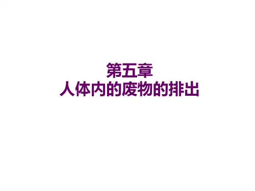 人教版七年级生物下册第四单元第五章人体内废物的排出 (共44张PPT)