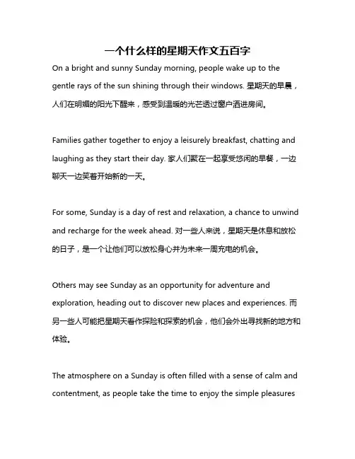 一个什么样的星期天作文五百字