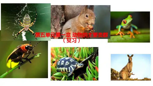 第一单元 动物的主要类群【复习课件】-2020-2021学年八年级生物上册单元复习一遍过(人教版)