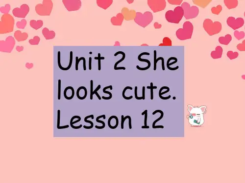 精通版五年级英语上册Unit 2 She looks cute. Lesson 12 课件
