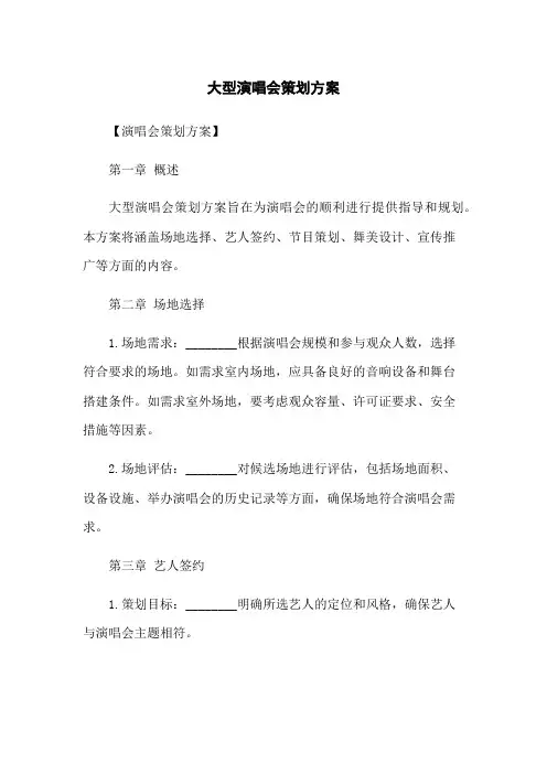 大型演唱会策划方案
