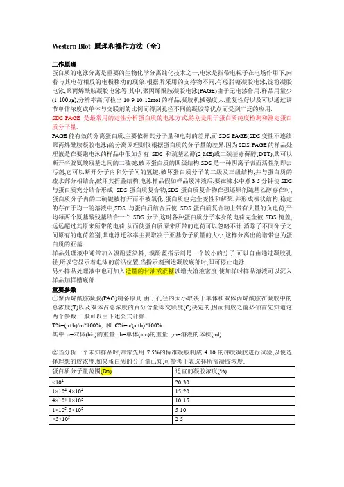 Western-Blot-原理和操作方法(全)要点