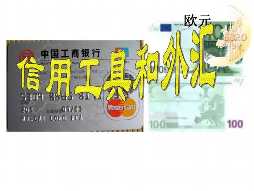 高一政治信用工具和外汇3(1)