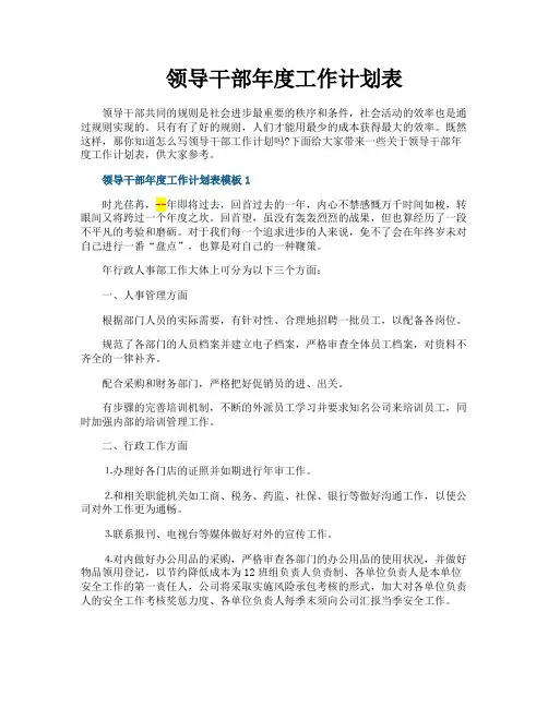 领导干部年度工作计划表