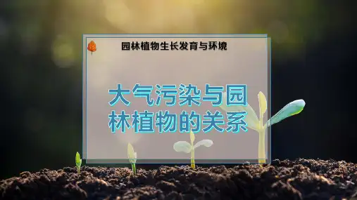 大气污染与园林植物的关系