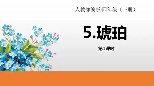 《琥珀》语文教学PPT课件(4篇)