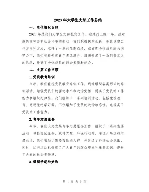 2023年大学生支部工作总结