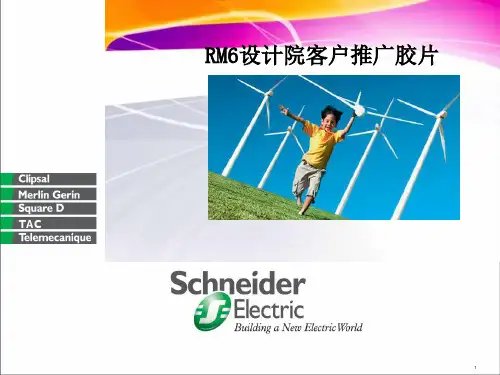 施耐德RM6中压开关柜PPT