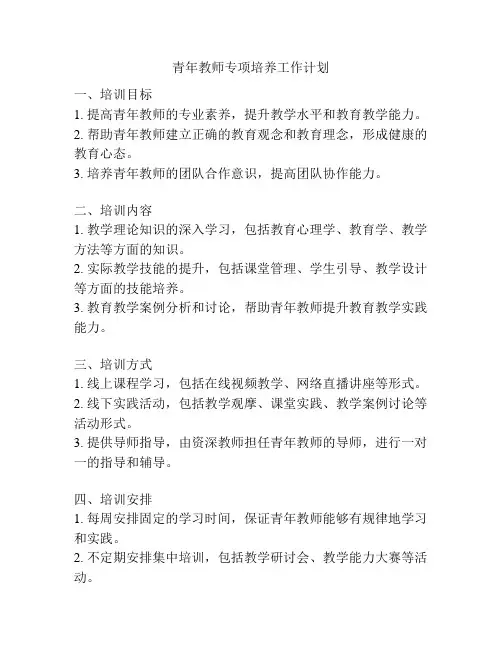 青年教师专项培养工作计划