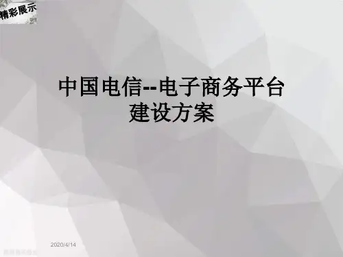 中国电信--电子商务平台建设方案