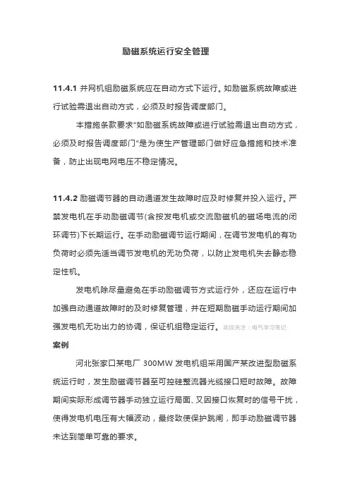 励磁系统运行安全管理