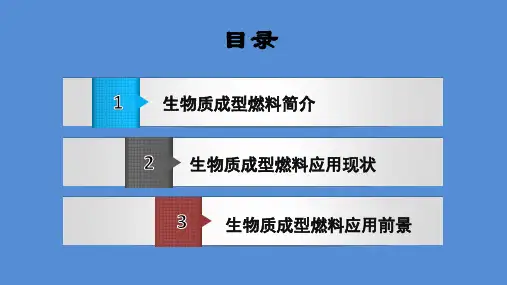生物质燃料的应用ppt课件