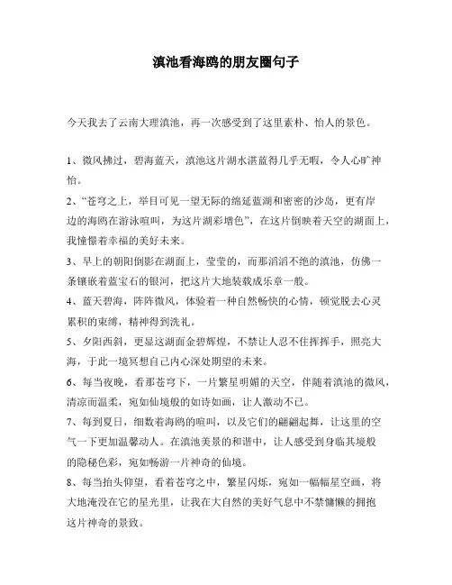 滇池看海鸥的朋友圈句子