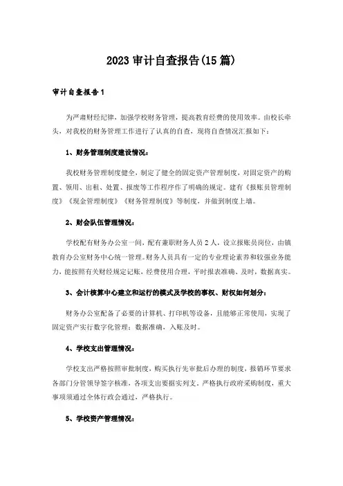 2023审计自查报告(15篇)