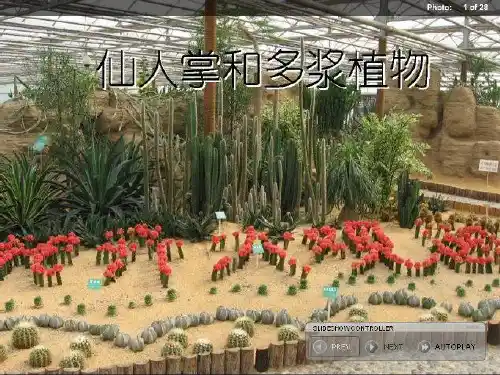 仙人掌与多浆植物ppt课件