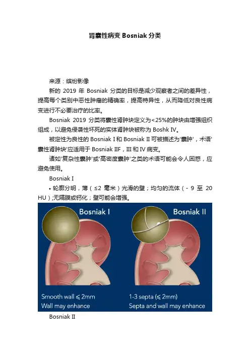 肾囊性病变Bosniak分类