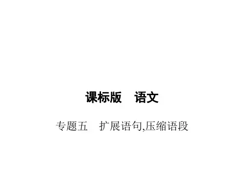 高考人教新课标语文一轮复习课件：专题五 扩展语句,压缩语段