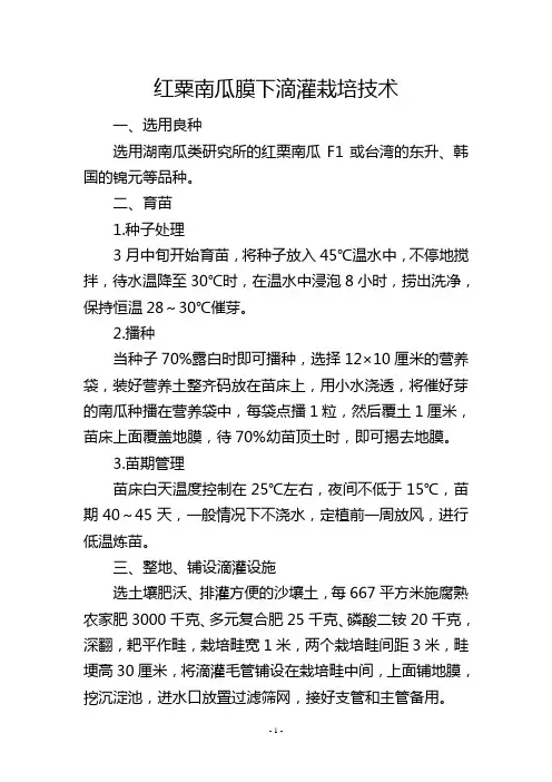 红粟南瓜膜下滴灌栽培技术
