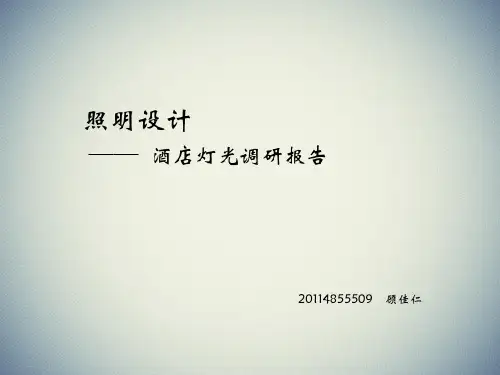酒店灯光调研讲解