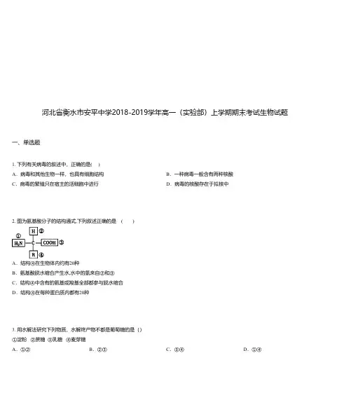 河北省衡水市安平中学2018-2019学年高一(实验部)上学期期末考试生物试题