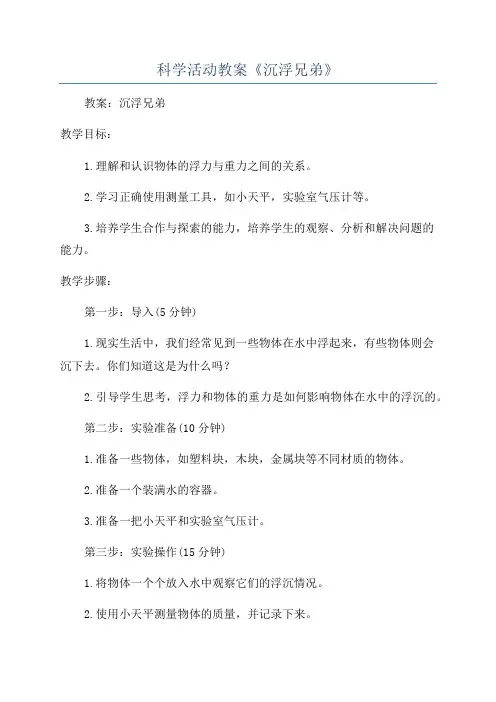 科学活动教案《沉浮兄弟》