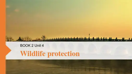 人教版(新课程标准)必修2Unit4WildlifeProtection复习课件