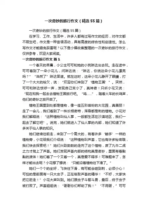 一次奇妙的旅行作文（精选55篇）