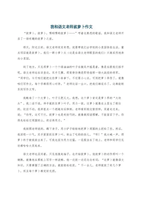 我和语文老师拔萝卜作文