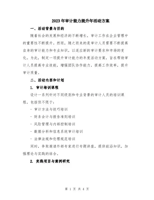 2023年审计能力提升年活动方案
