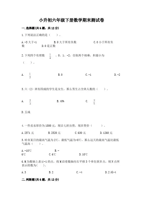 小升初六年级下册数学期末测试卷含完整答案(夺冠系列)