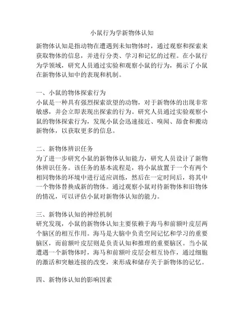 小鼠行为学新物体认知