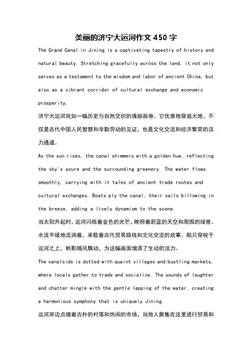 美丽的济宁大运河作文450字