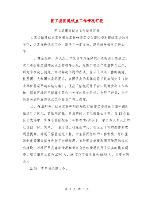 团工委团建试点工作情况汇报【可编辑版】