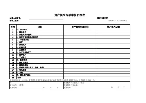 资产损失专项申报表及明细表