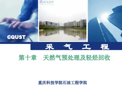 第十章  天然气预处理及轻烃回收