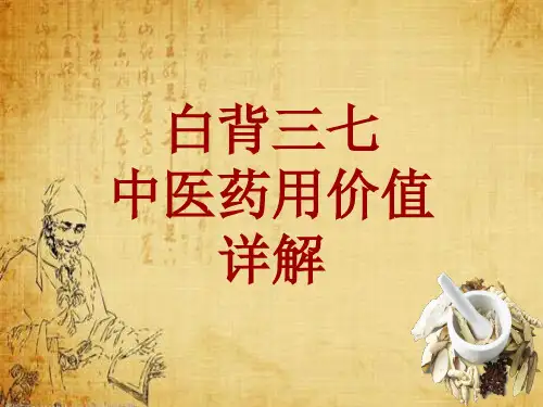 中药学_白背三七_药材详解课件模板