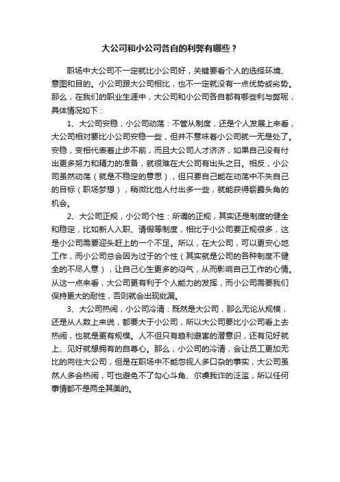 大公司和小公司各自的利弊有哪些？
