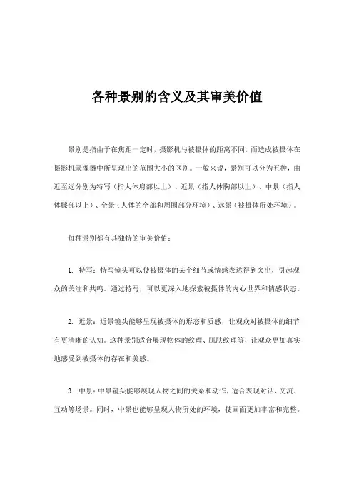各种景别的含义及其审美价值