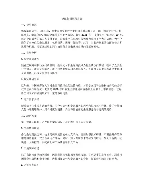 蚂蚁集团运营方案
