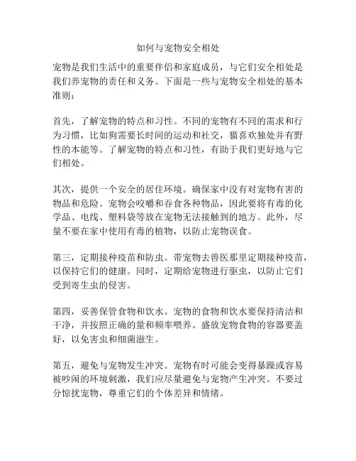 如何与宠物安全相处