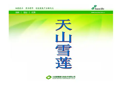 雪莲介绍