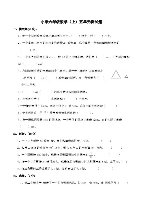 2022-2023学年西师大版六年级数学上册第五单元  图形的变化和位置确定测试卷含答案