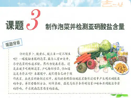 制作泡菜并检测亚硝酸盐含量ppt课件(自制)