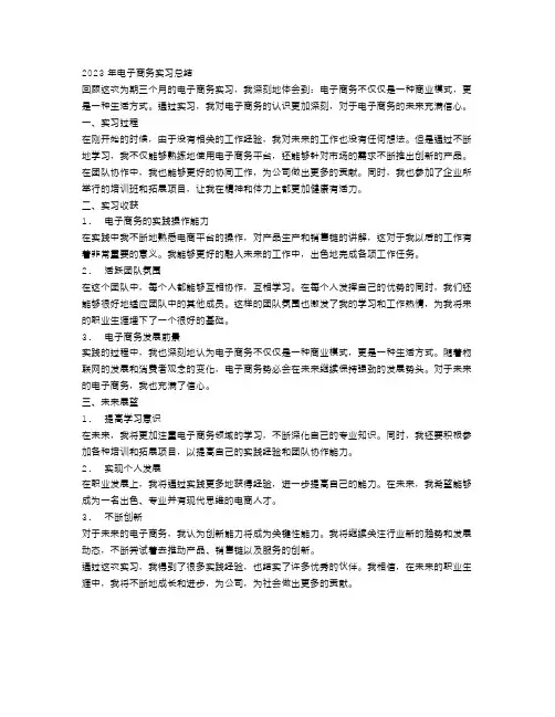 2023电子商务实习总结范文3000字