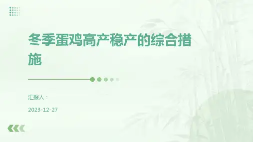 冬季蛋鸡高产稳产的综合措施