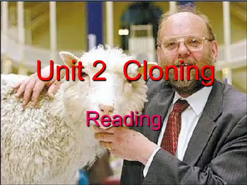 人教课标版高中英语选修8Unit2 Reading(共19张PPT)