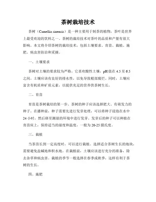 茶树栽培技术